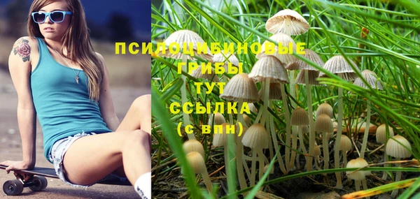 гидра Богородицк