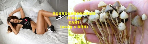 гидра Богородицк