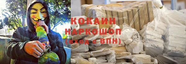 гидра Богородицк