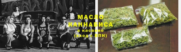 гидра Богородицк