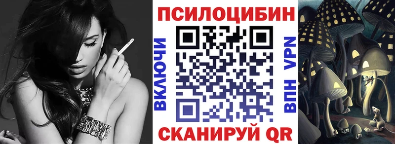 Галлюциногенные грибы Psilocybe Наро-Фоминск